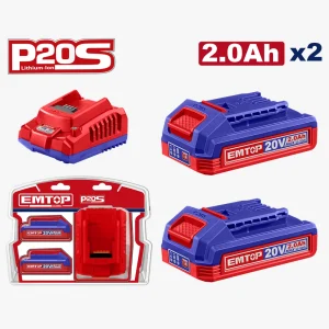 lot de 2 batteries 2ah+chargeur
