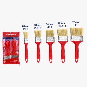 ensemble de 5 pinceaux