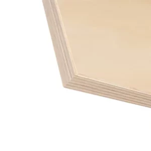 WP®-Premium Cut Clear