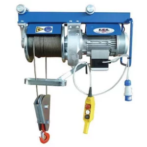TREUIL ECE 500KG 220V