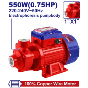 Électropompe 0.75Cv 1"H45M 45LMn