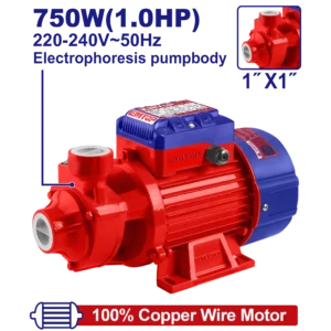Électropompe 1Cv 1"H52M 50LMn
