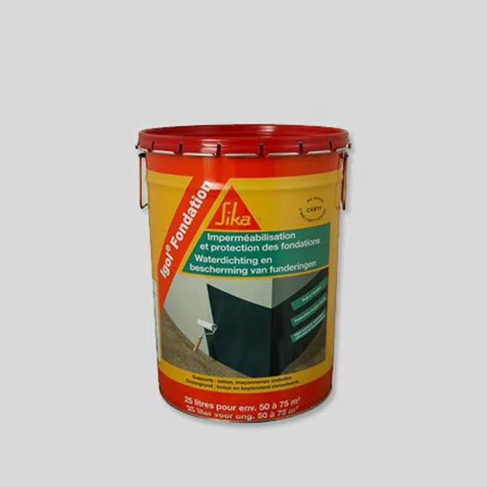 igol-fondation.webp igol-fondation.webp