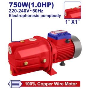 Pompe À Jet 1Cv Auto-Amorçante
