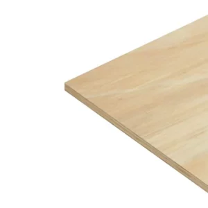 poplar.webp